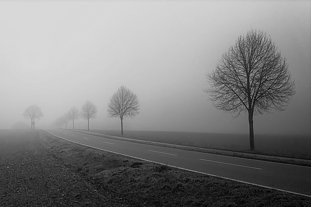 Weg zu Feldenkraiskursen in Wennigsen